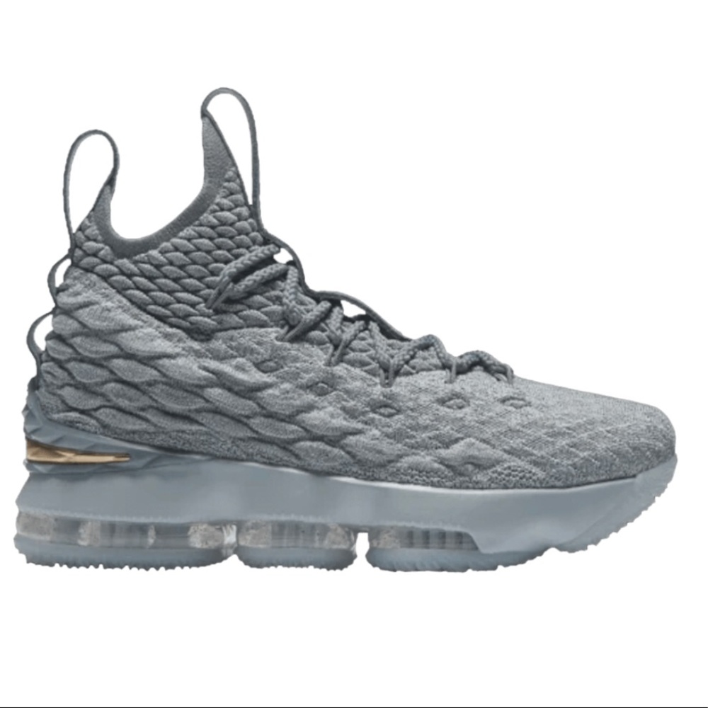 LeBron James XV